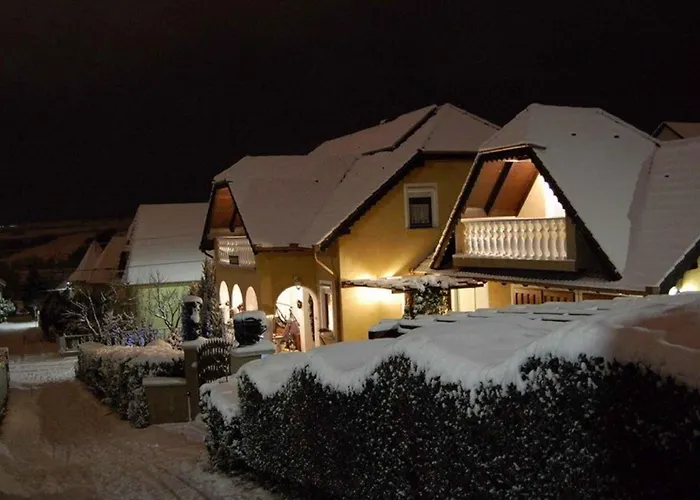 Vakantiehuis In - Balaton 18886